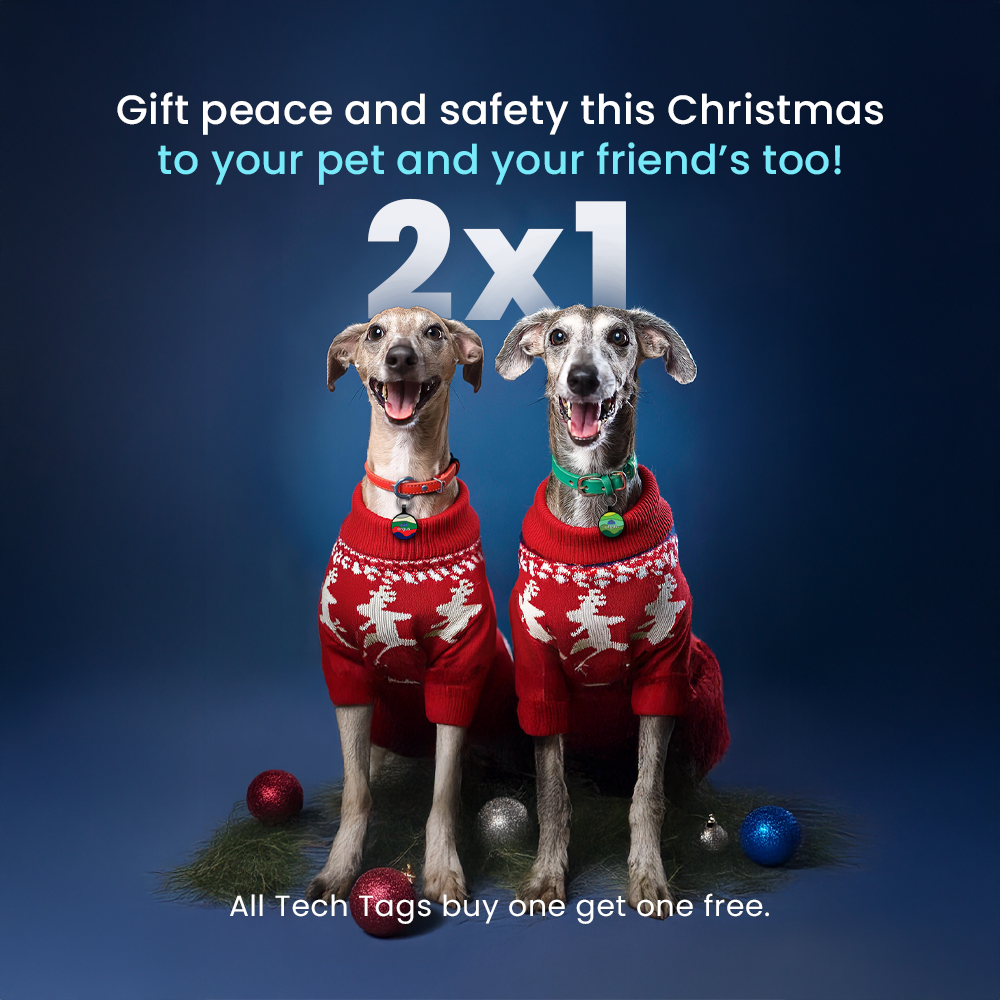 Gift Peace and Safety This Christmas—to Your Pet and Your Friend’s Too!