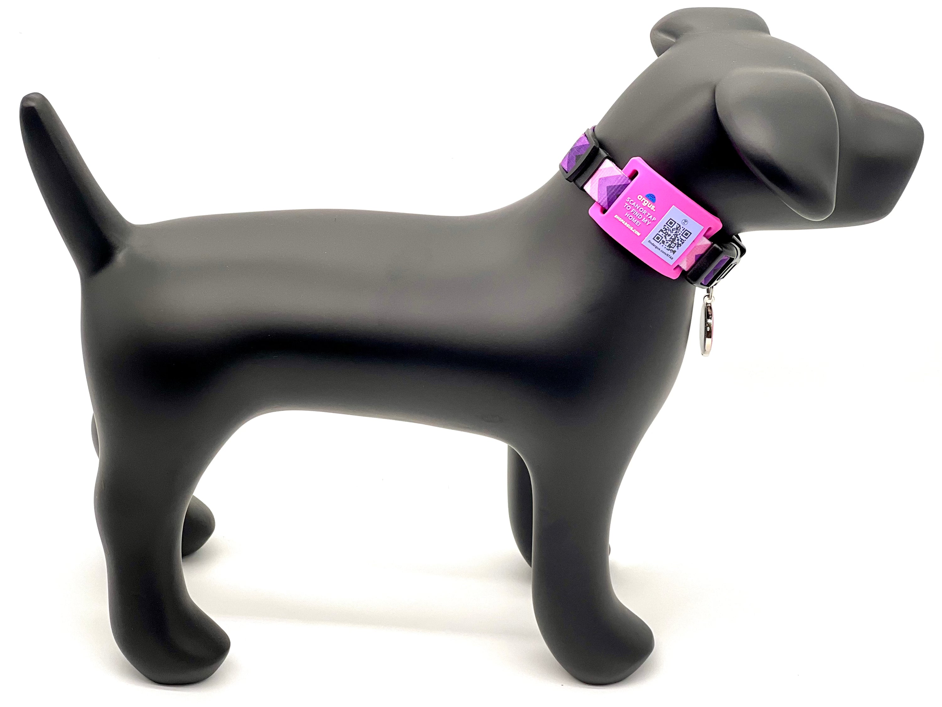 Pink & Purple Collar-Side Tech Tag